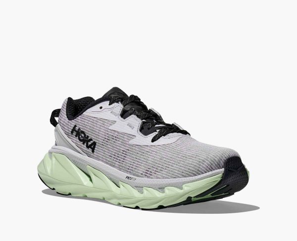 Elevon 2 TS - Image 6